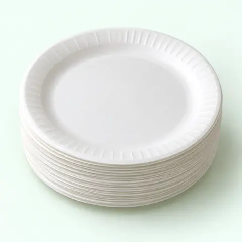 ওয়ান টাইম প্লেট